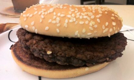 Dag 8 – Min hamburgare fyller en vecka!