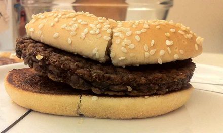 Dag 225 – 32 veckor