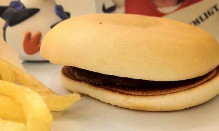 Dag 666 – mitt Happy Meal fyller 95 veckor!