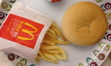 Dag 708 – mitt Happy Meal fyller 101 veckor!