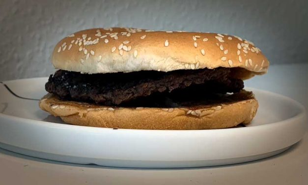 Dag 10. Fortfarande en naturell Whopper.