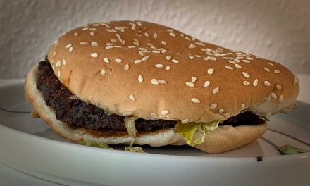 Dag 13. Min Whopper lever och möglar inte ALLS.